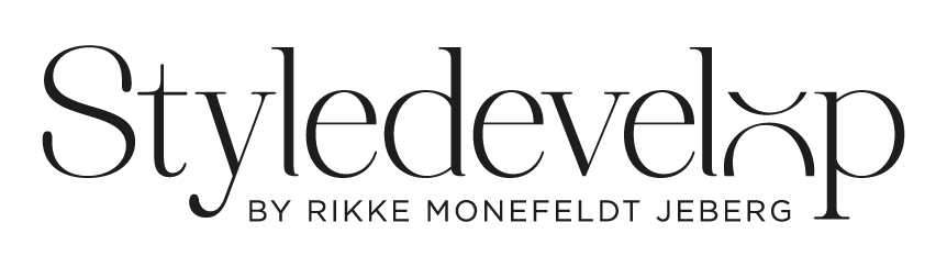 Styledevelop logo